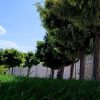 دیوارهای پیش ساخته بتنی باغی
